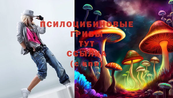 прущая мука Саяногорск